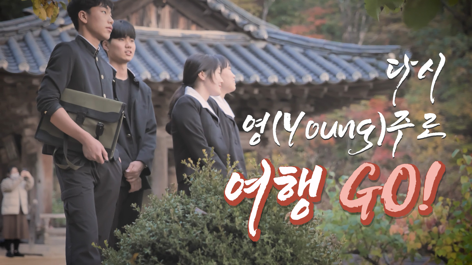 다시 영(Young)주로 여행 GO!!