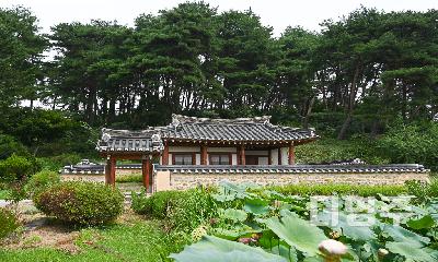 400년 번계(藩溪)의 숨결, 영주 천운정(天雲亭)과 양진재(養眞齋)